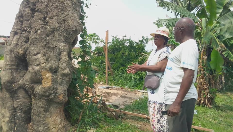 Catastrophe naturelle au quartier Minka-Nfoua :